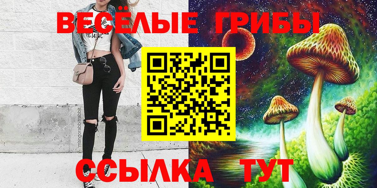 Псилоцибиновые грибы MAGIC MUSHROOMS  Вход с VPN  Галлюциногенные грибы Psilocybine cubensis  Торжок 
